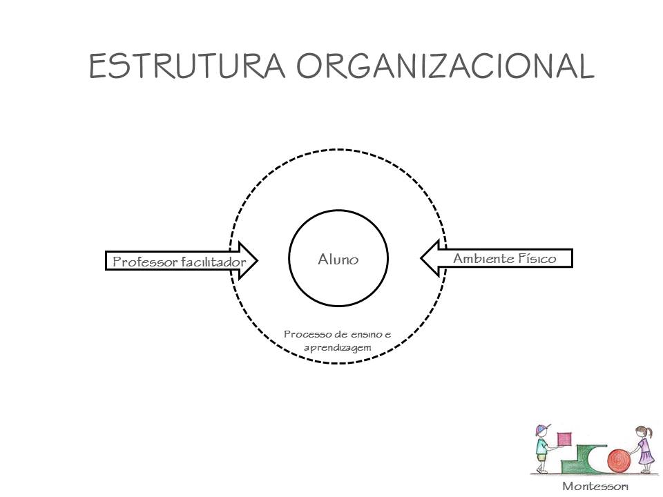 Montessori_estrutura organizacional